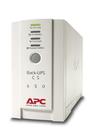 Источник бесперебойного питания APC Back-UPS CS 500 /BK500-EI/