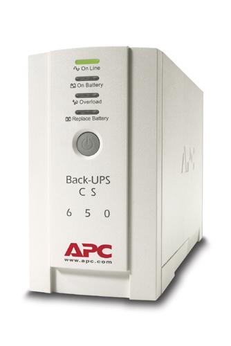 Источник бесперебойного питания APC Back-UPS CS 500 /BK500-EI/