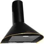 Вытяжка купольная Elikor Эпсилон 50П-430-П3Л (черный/золотистый)