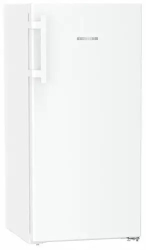 Холодильник Liebherr RBa 4250-20 001